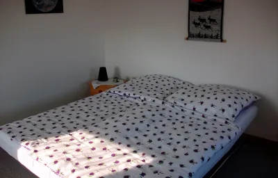 Haus Flicka