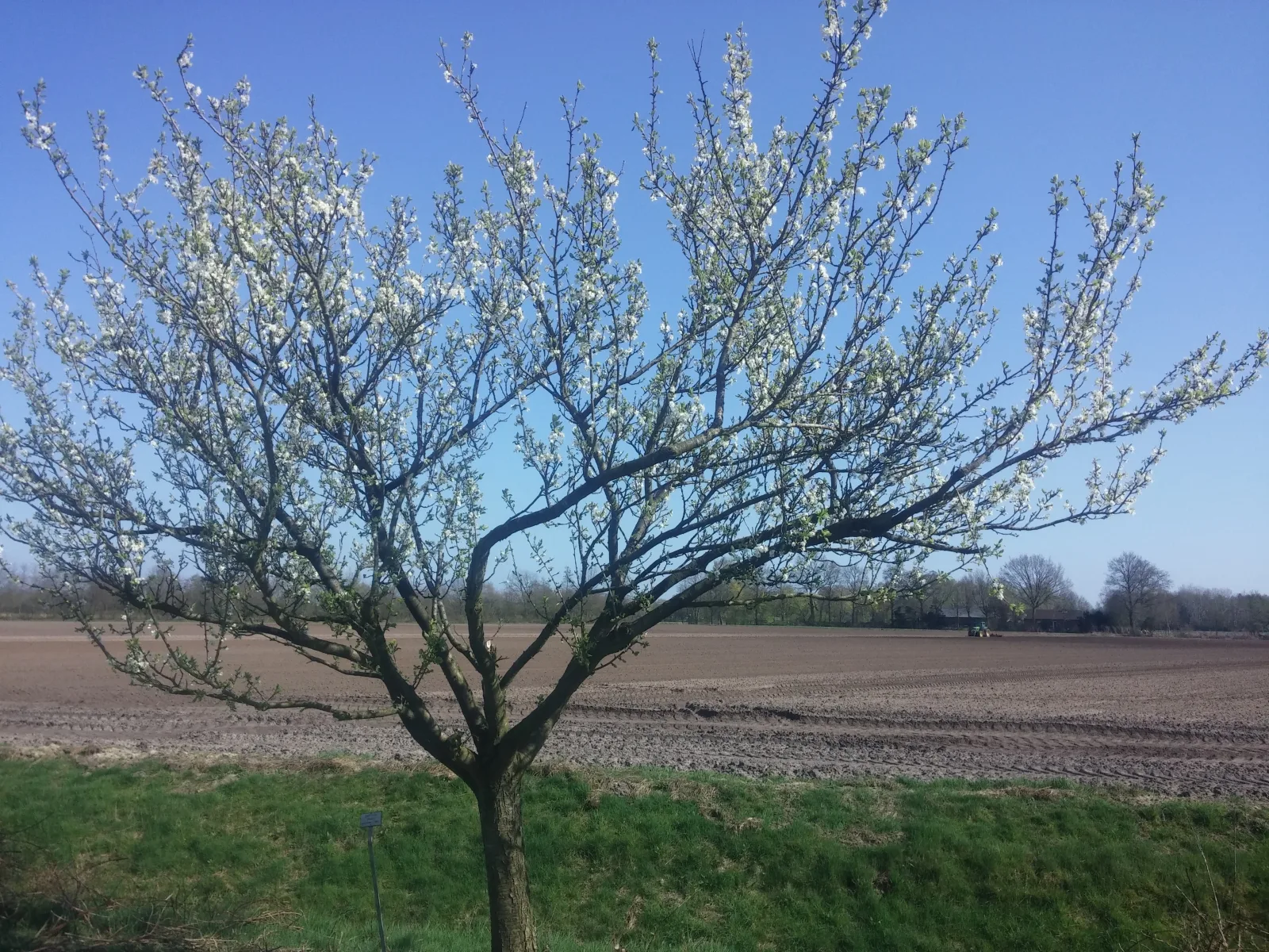 Ferienwohnung Lünner See