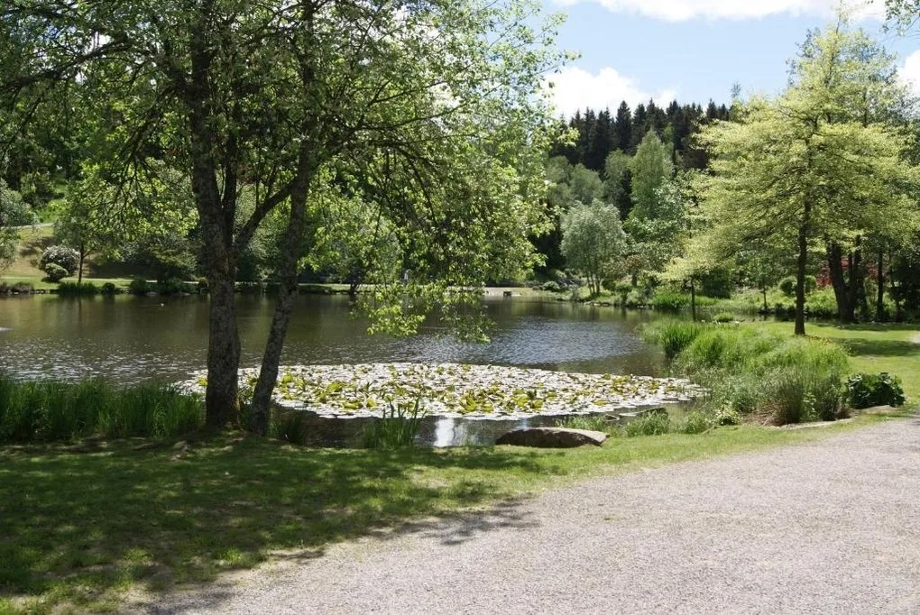 Ferienwohnung Nitzschke