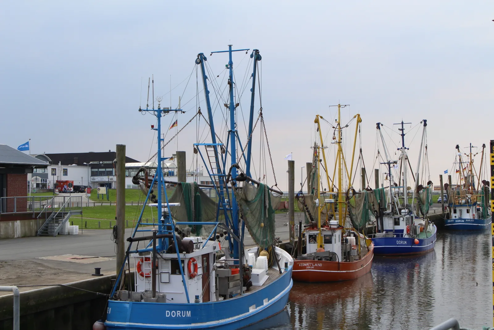 Ferienhaus Vogel Nordsee
