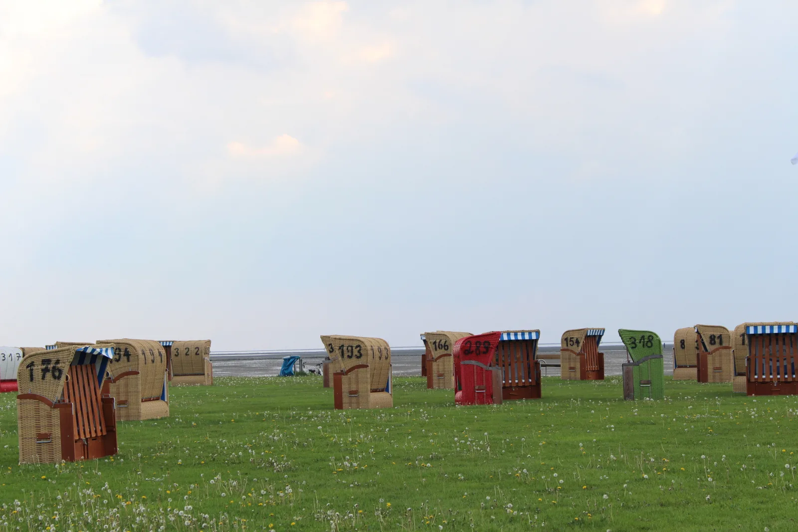 Ferienhaus Vogel Nordsee