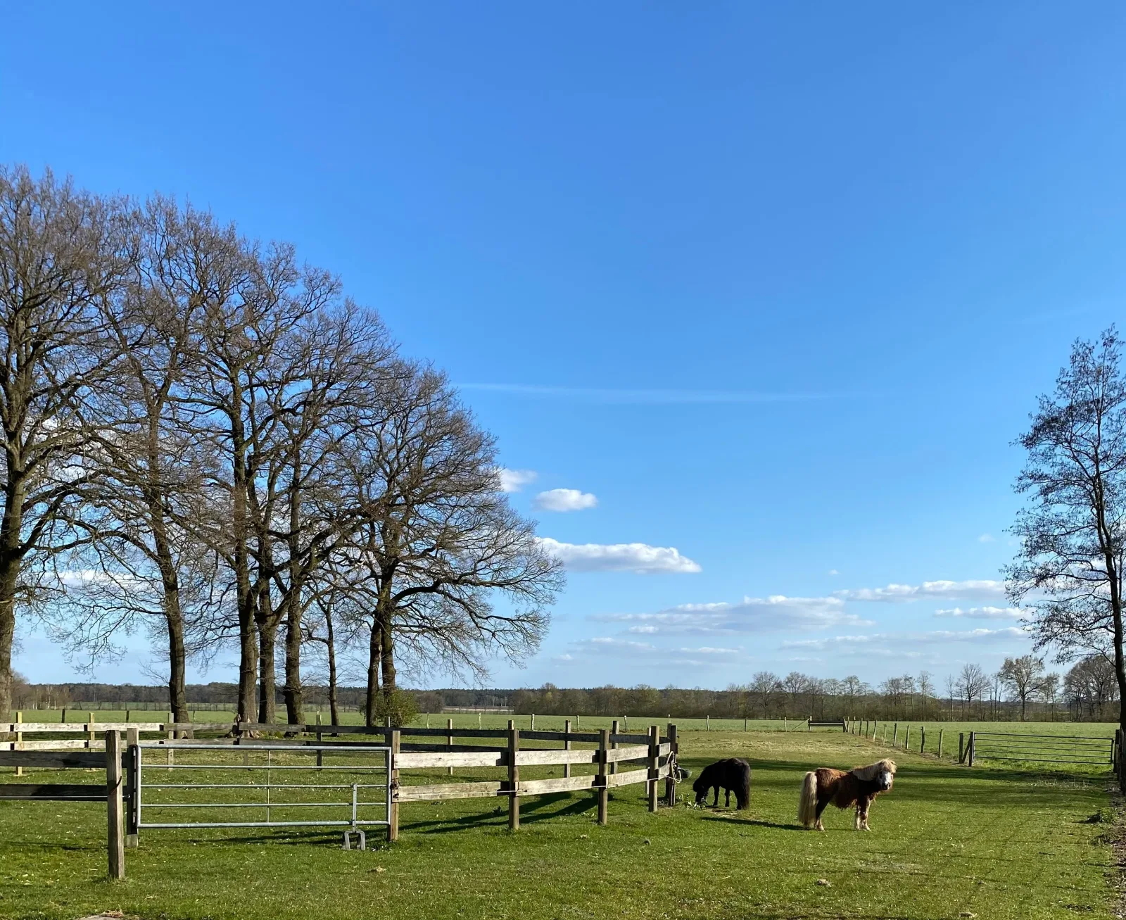 Ferienhof Westermann (Waldblick)