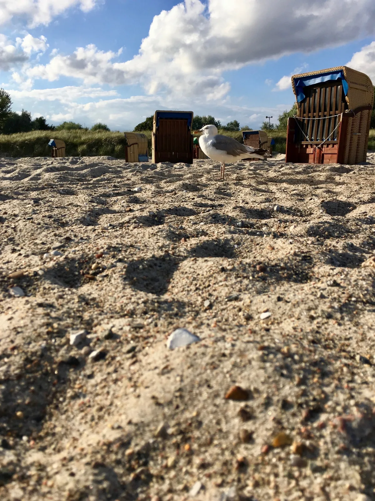 Strandbude Fehmarn