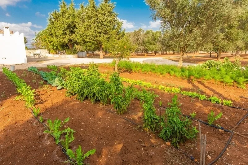 Trullo mit privatem Pool - umzäunter Garten