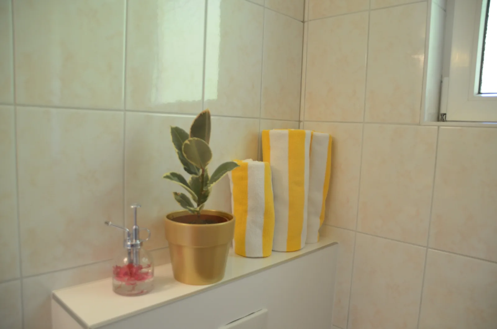 Family Apartment