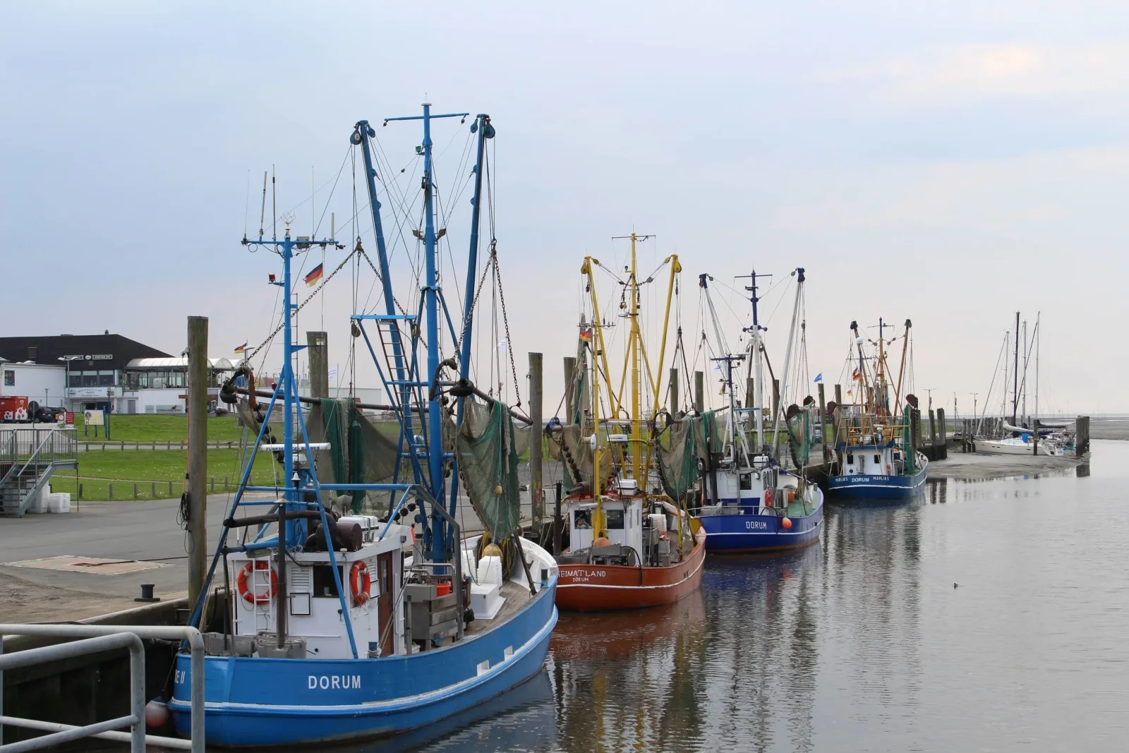 Ferienhaus Vogel Nordsee