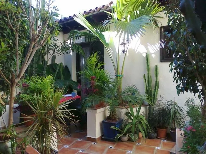 Ferienwohnung mit Meerblick - F4156