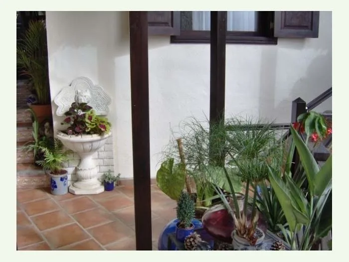 Apartment mit Traumblick - F4159