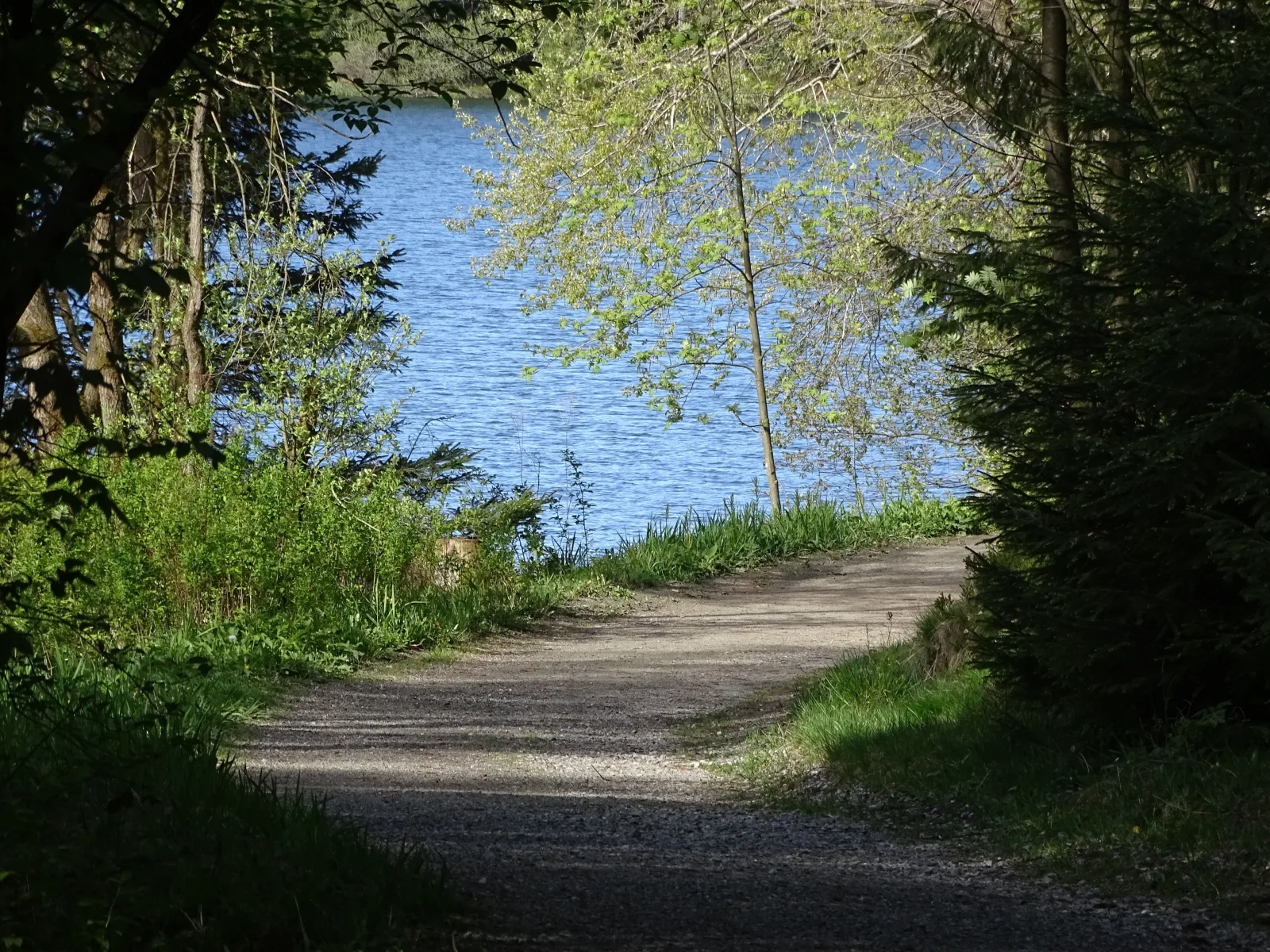 App. Sweet Harz  Haus am See -Panoramablick