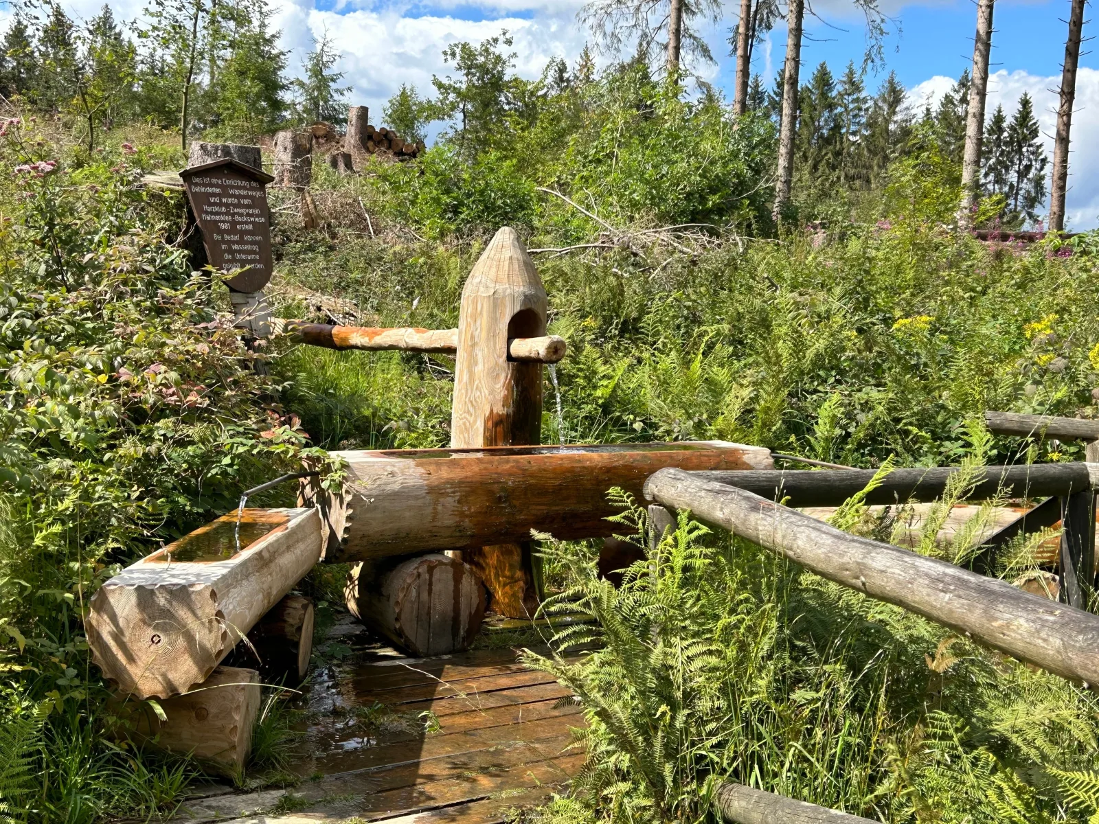 App. Sweet Harz  Haus am See -Panoramablick