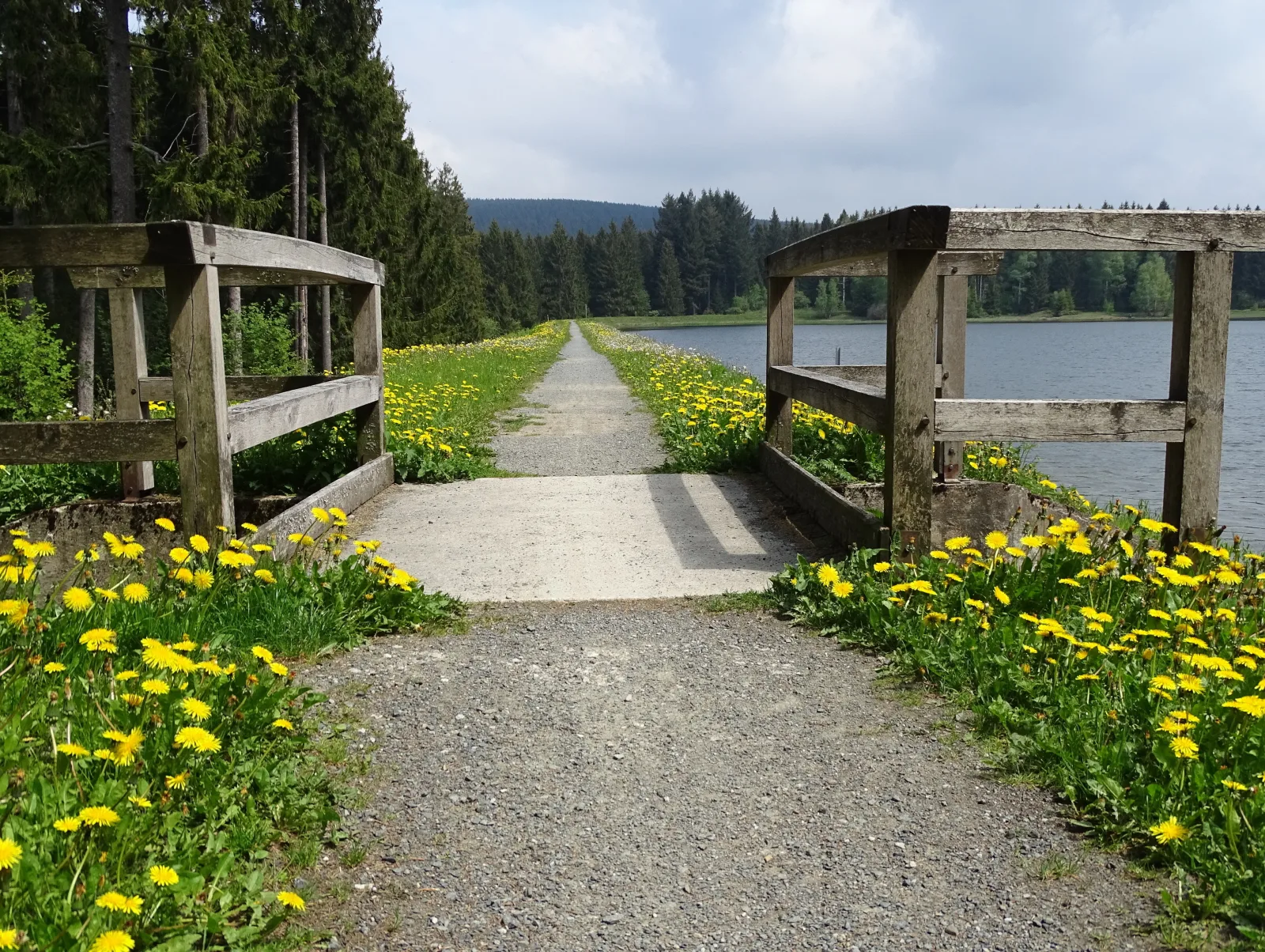 App. Sweet Harz  Haus am See -Panoramablick