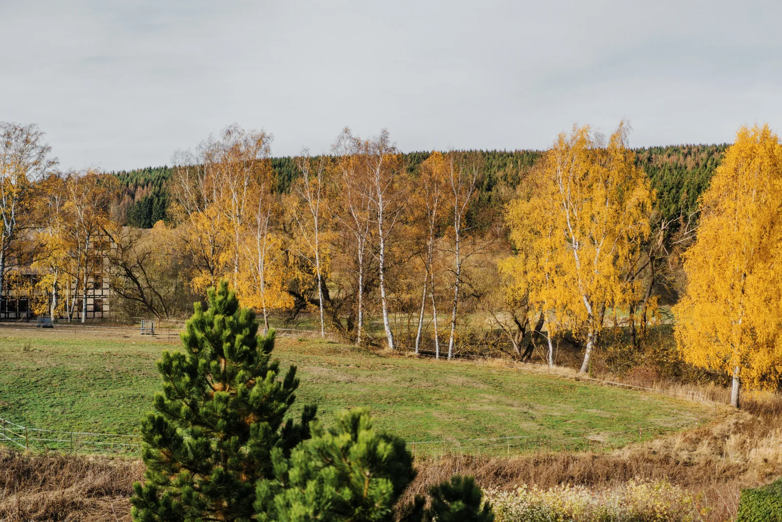 Ferienhäuser Andrea - FH 07 - Haus Hödur