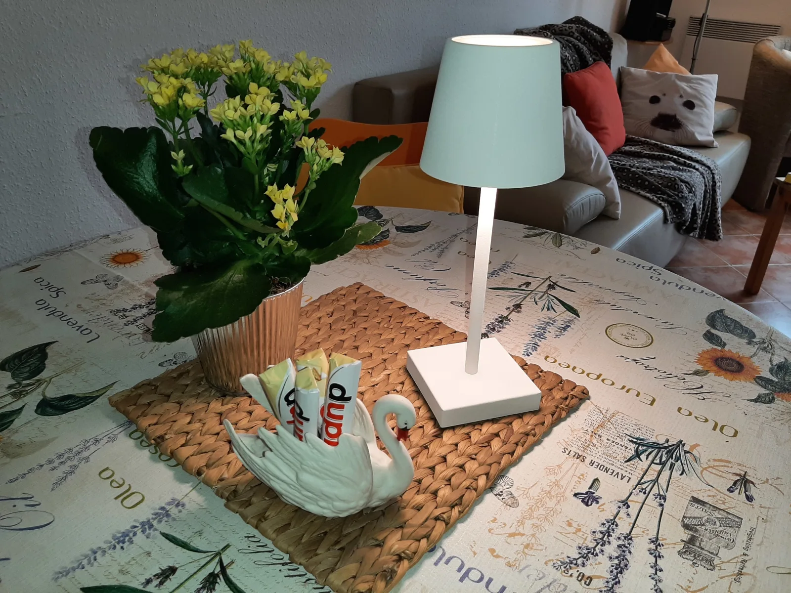 Ostsee-Schwänchen I