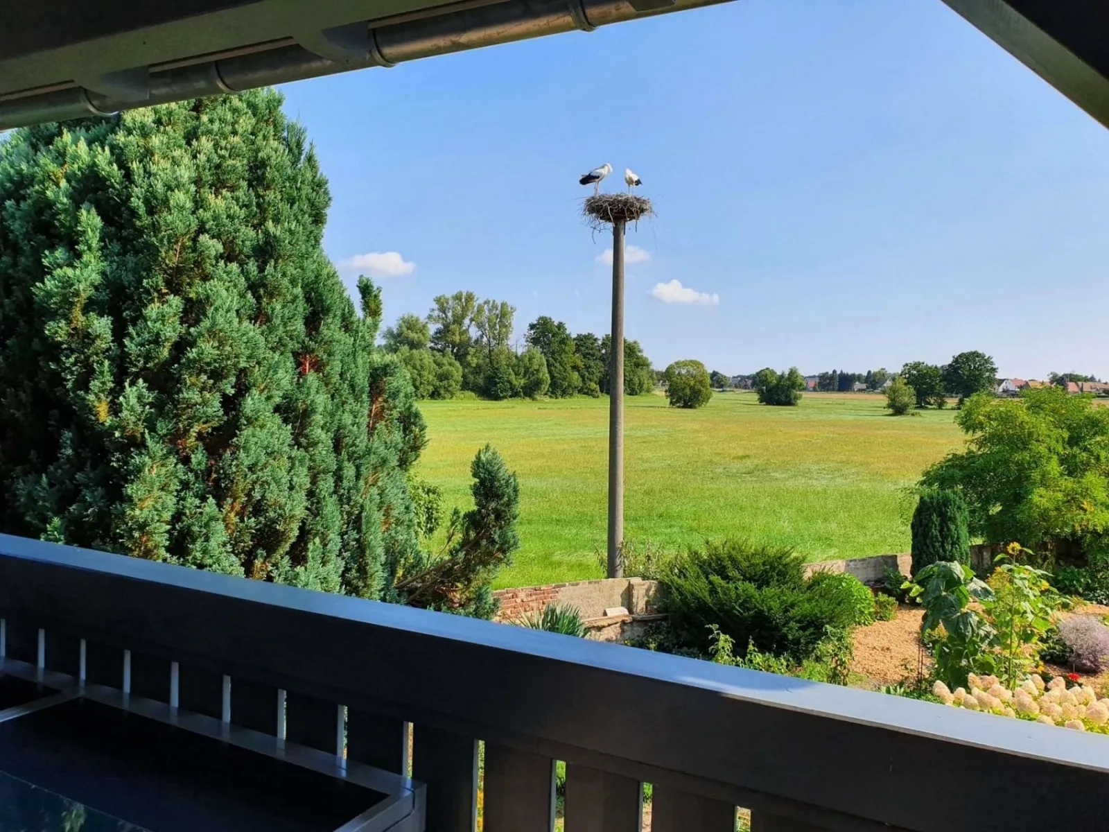 Wohnung Landblick