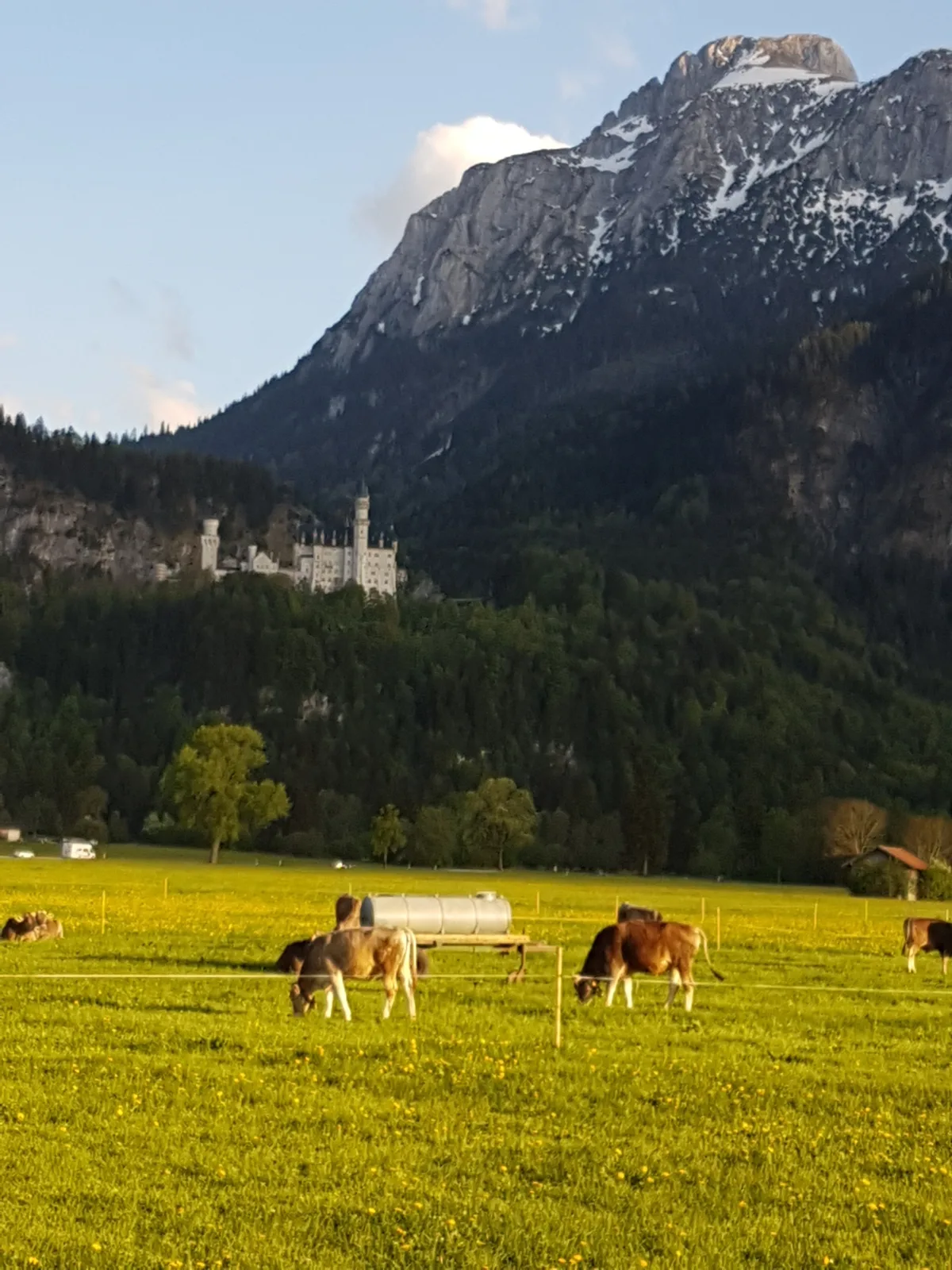 FeWo Aurora Hohenschwangau