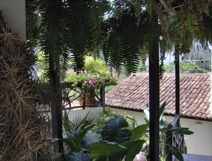 Apartment mit Meerblick - F4152