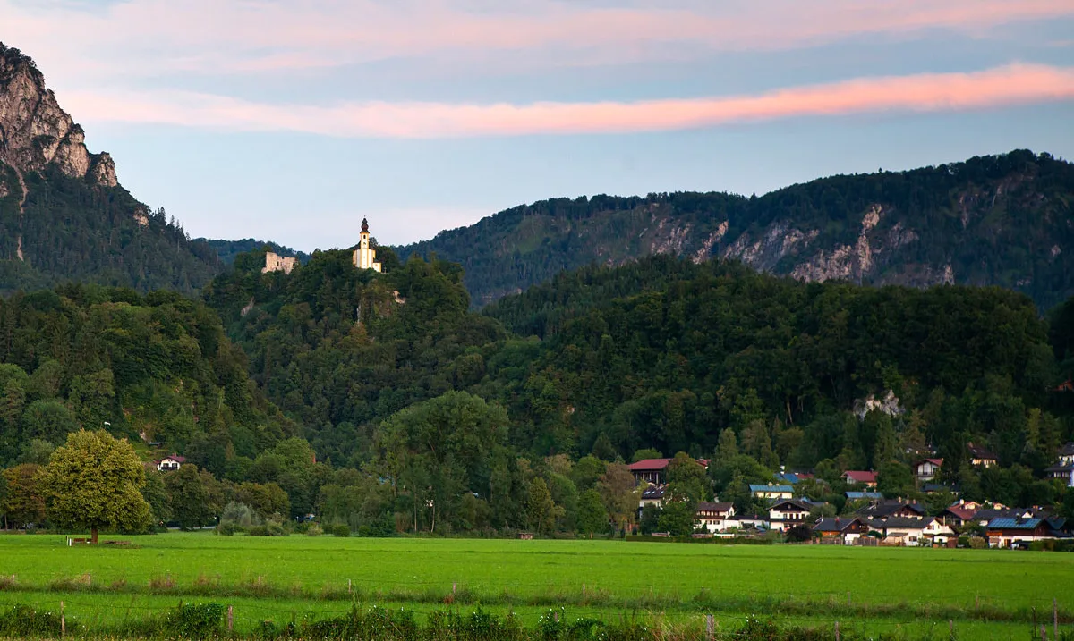 Alpenschwänchen 1