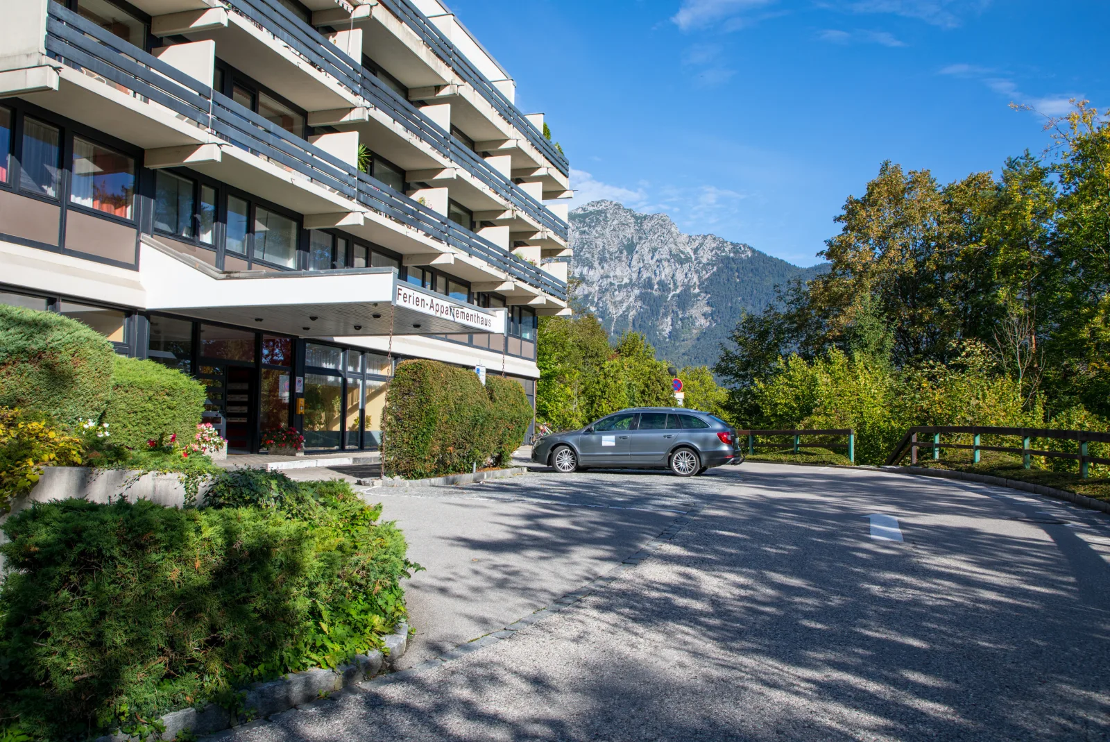 Alpenschwänchen 1