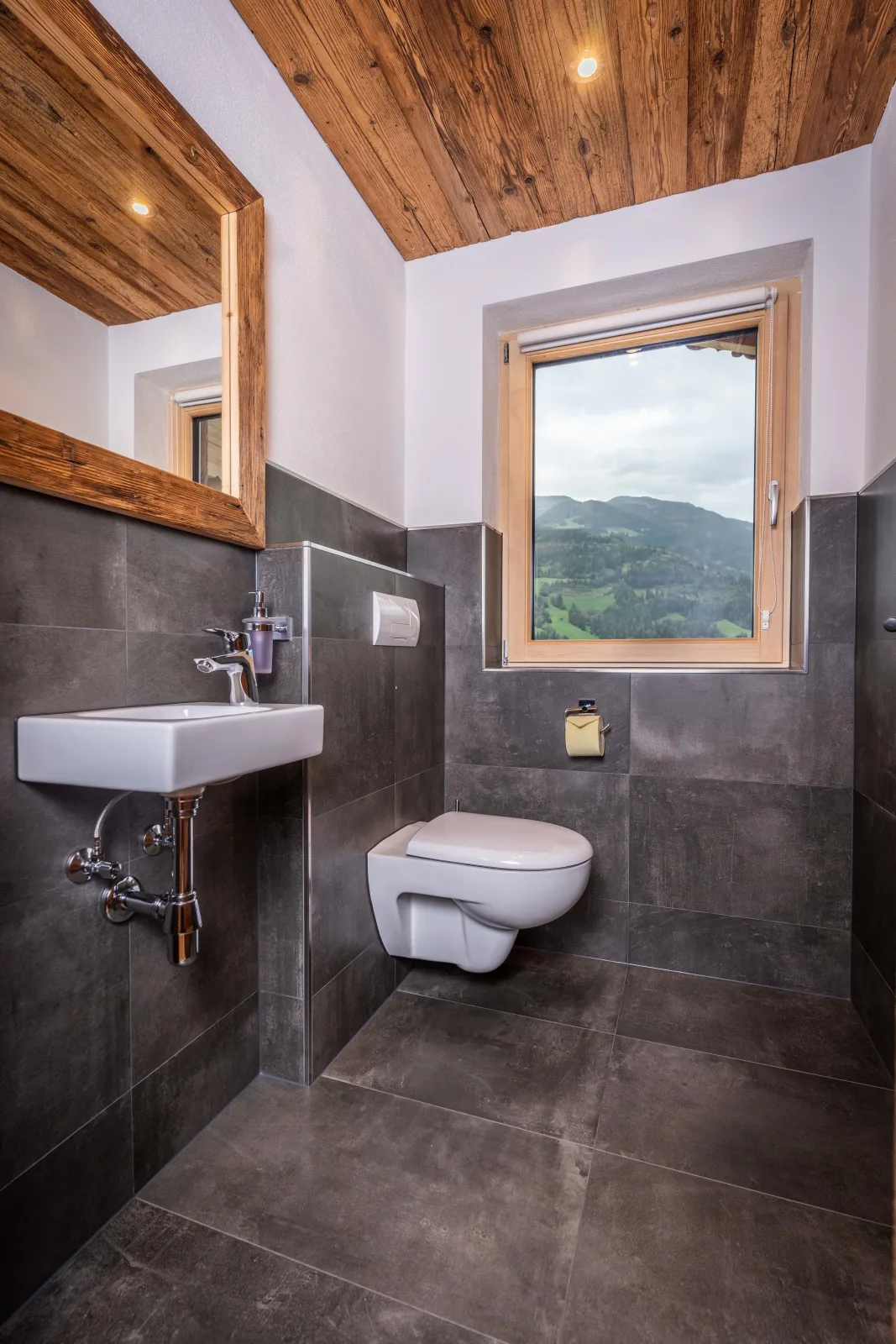 Alpen Chalet Wohnung "Rosa"