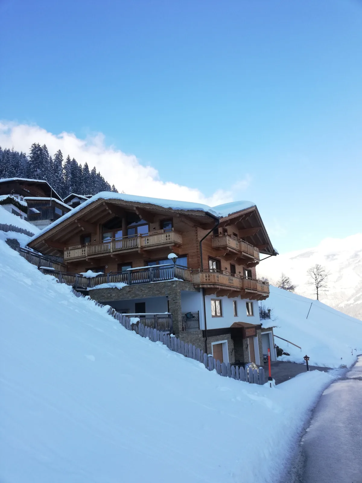 Alpen Chalet Wohnung "Rosa"