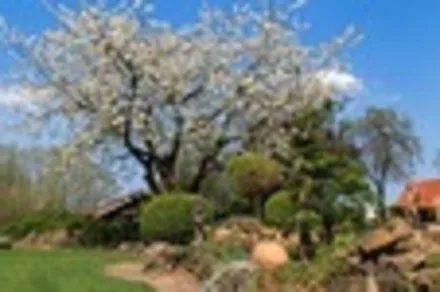Familienhof Brüning - Gartenblick