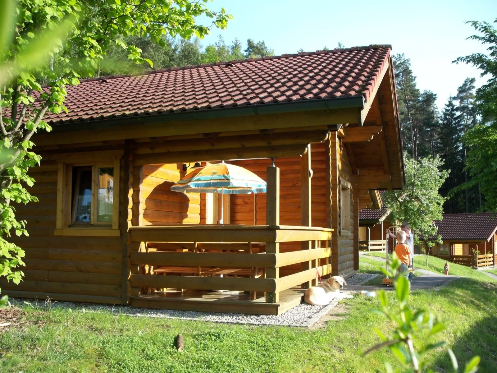 Blockhaus Hedwig Haus 4