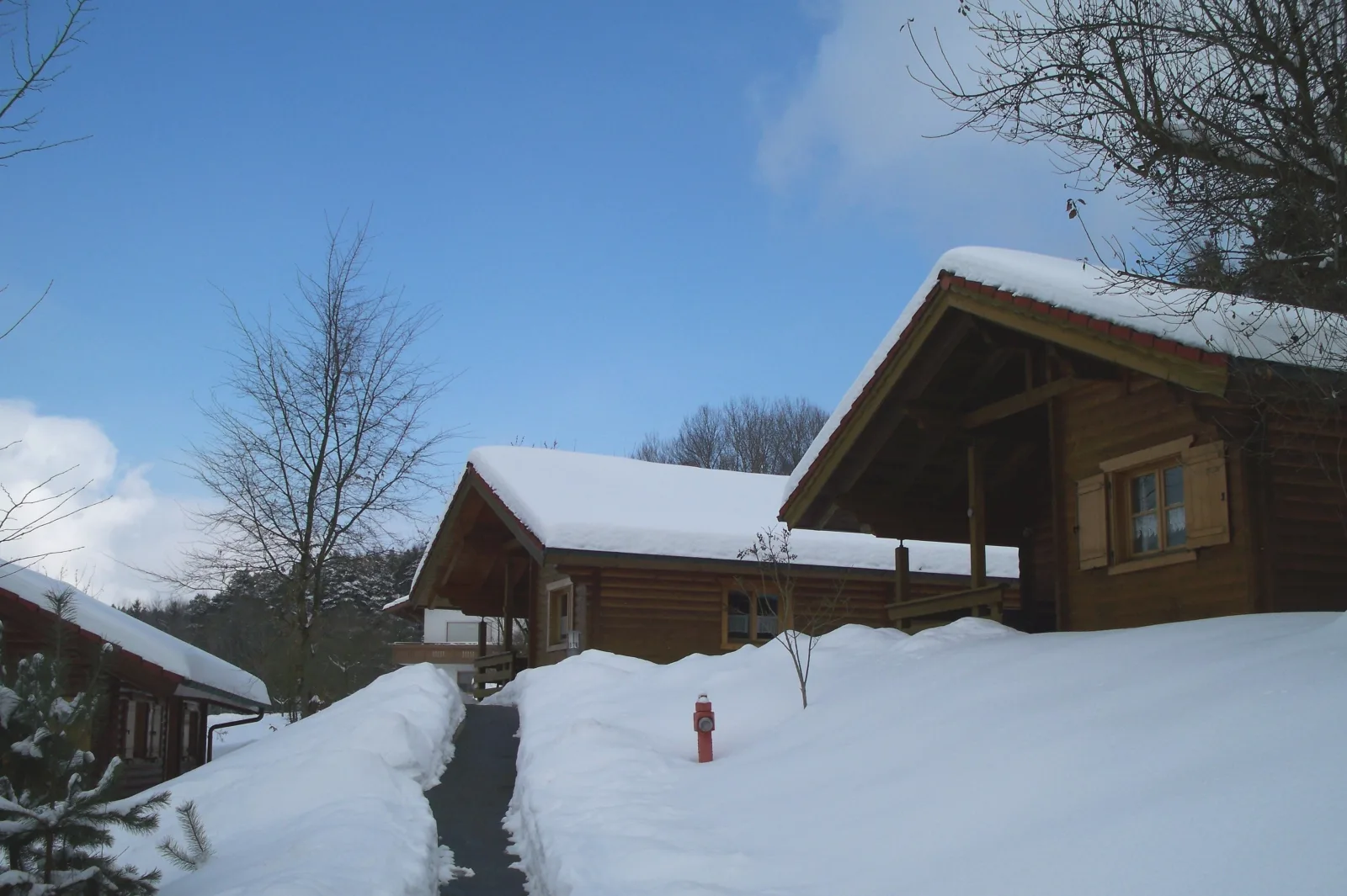 Blockhaus Hedwig Haus 4