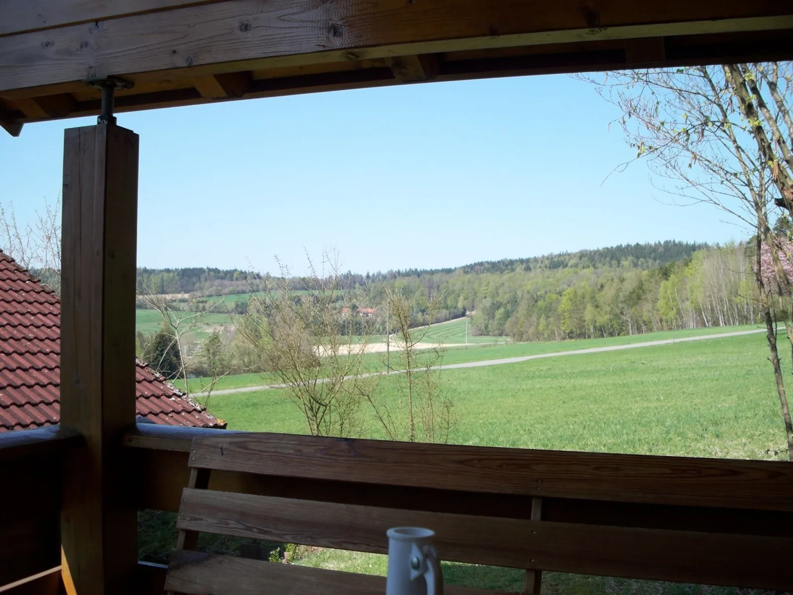Blockhaus Hedwig Haus 4
