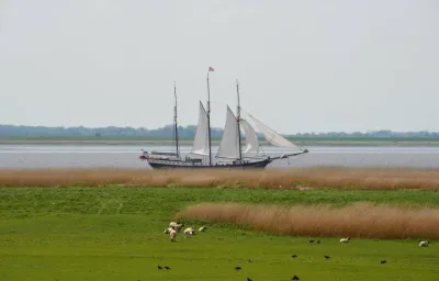 Auszeit am Elbdeich in Sankt Margarethen