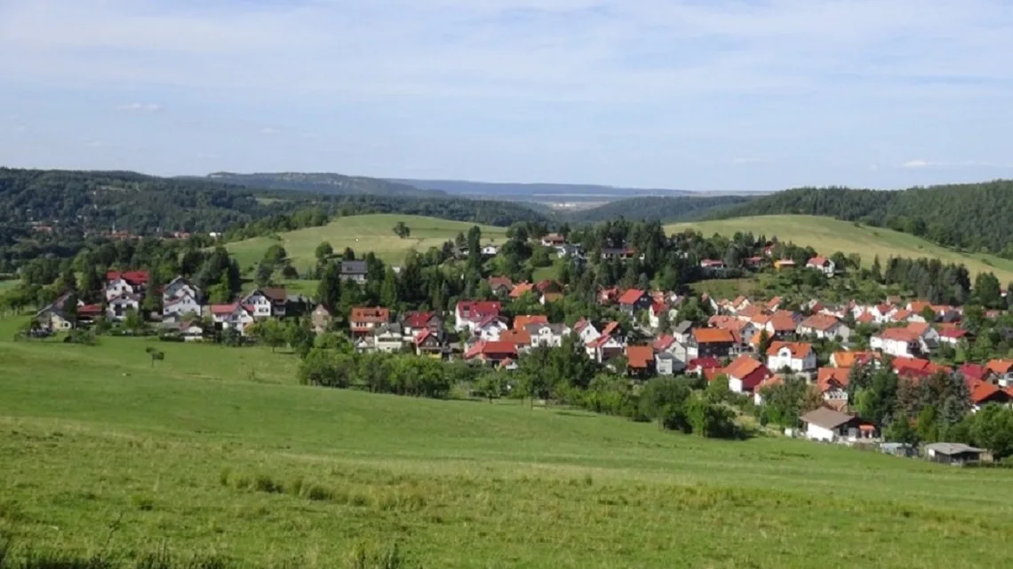 Waldblick