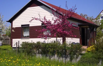 Waldblick