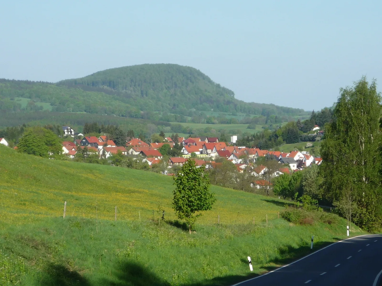 Waldblick