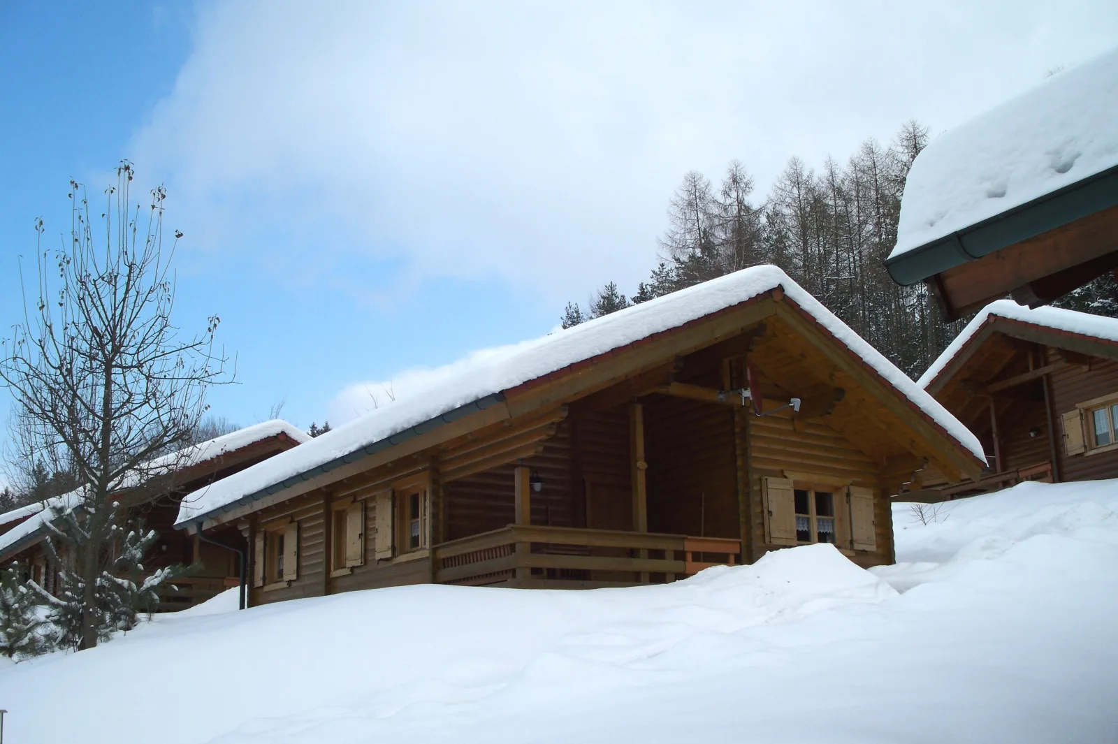 Blockhaus Hedwig Haus 10