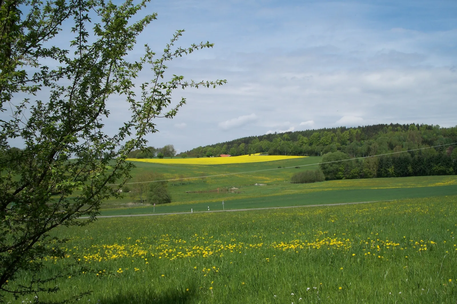 Blockhaus Hedwig Haus 10