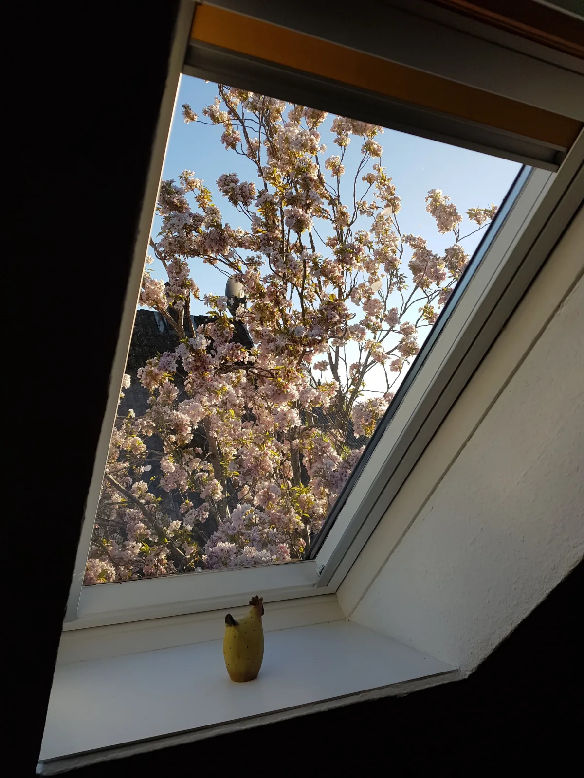 Ferienhäuschen Neuberend