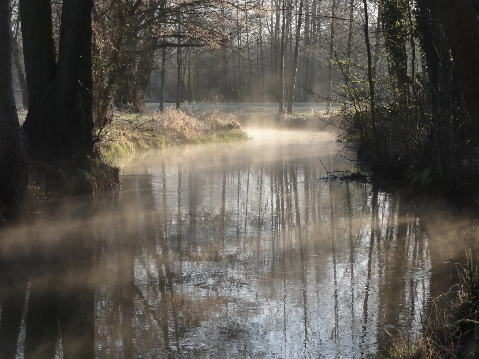 Spreewaldhof Schupan - Fewo Spreewaldsonne