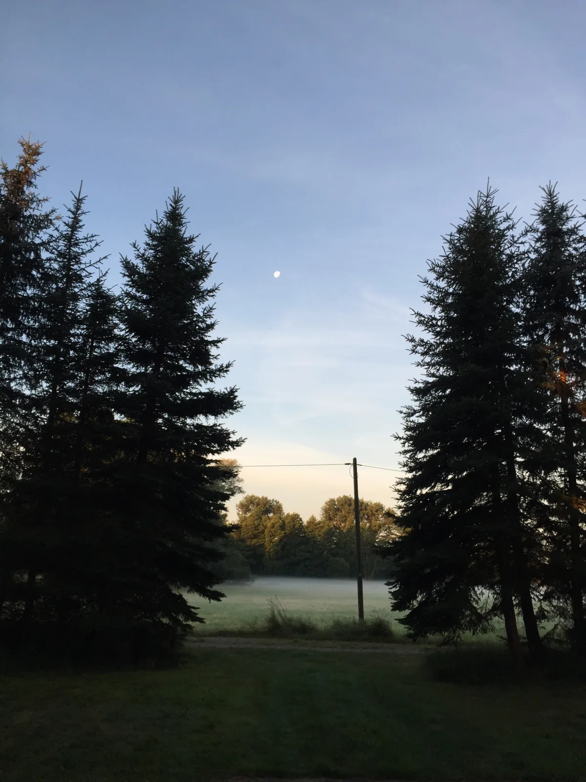 Spreewaldhof Schupan - Fewo Spreewaldsonne