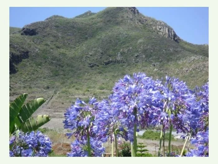 Familienfreundliche Finca - F6054