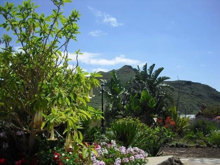 Apartment auf großer Finca - F6056