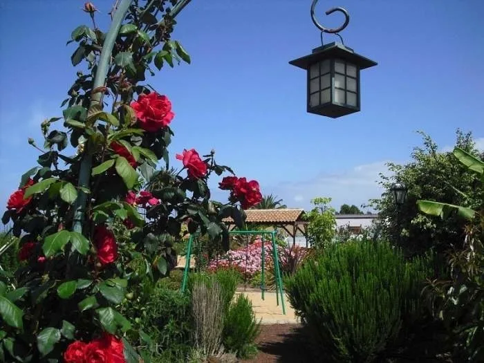 Apartment auf großer Finca - F6056