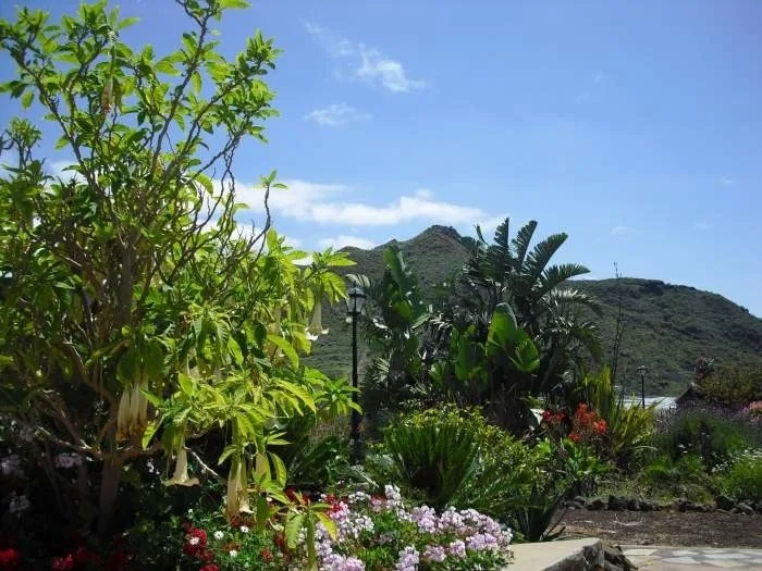Ausgezeichnete Finca - F6058