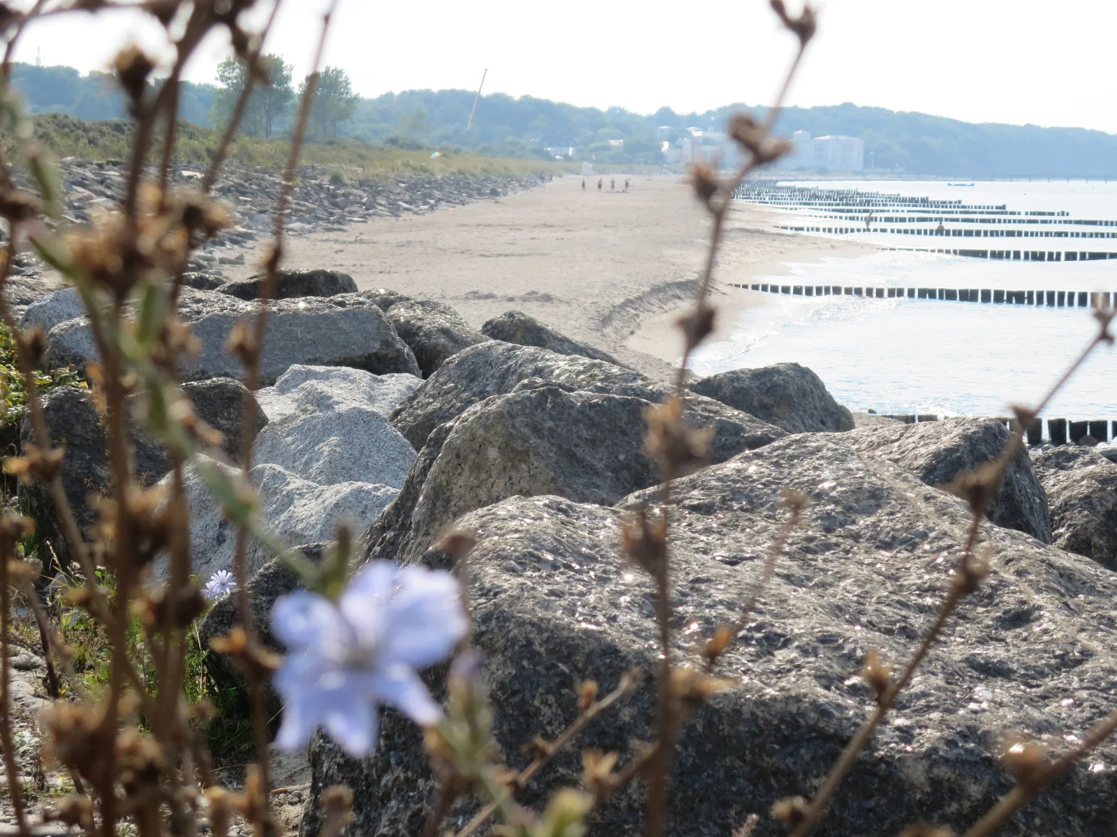 Fachwerkhaus am Meer | App. 4