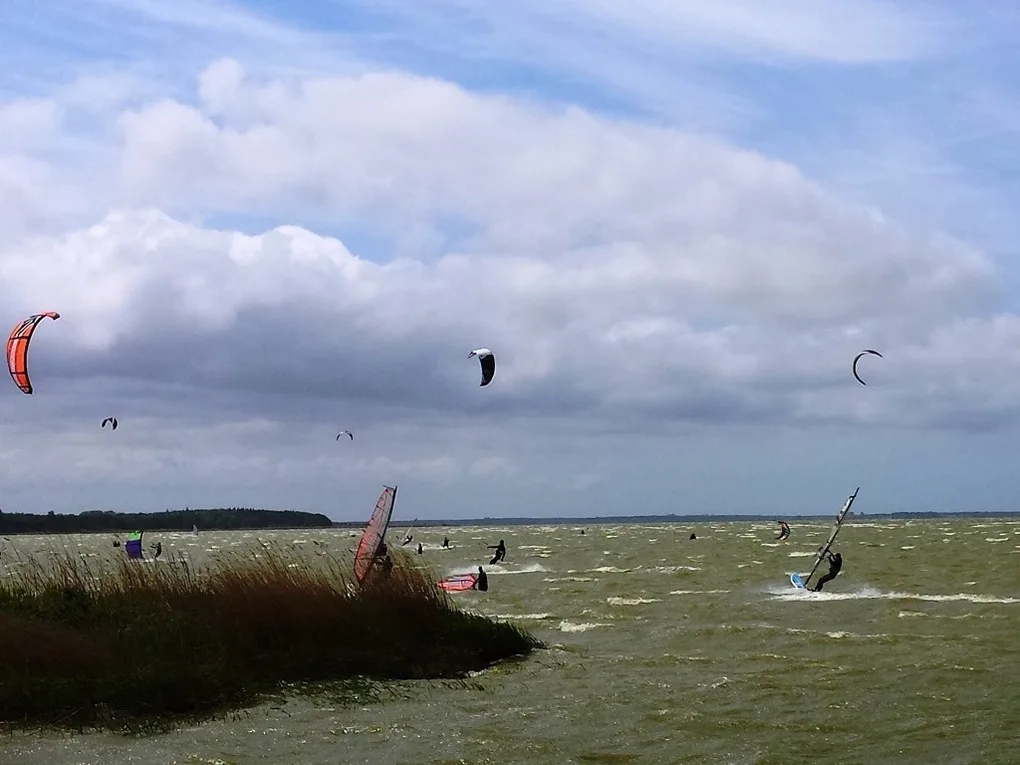 Landhaus am Teich - Saaler Bodden - Ferienhaus türkis