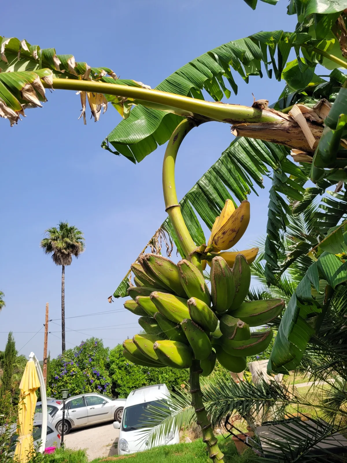 Finca La Ladera
