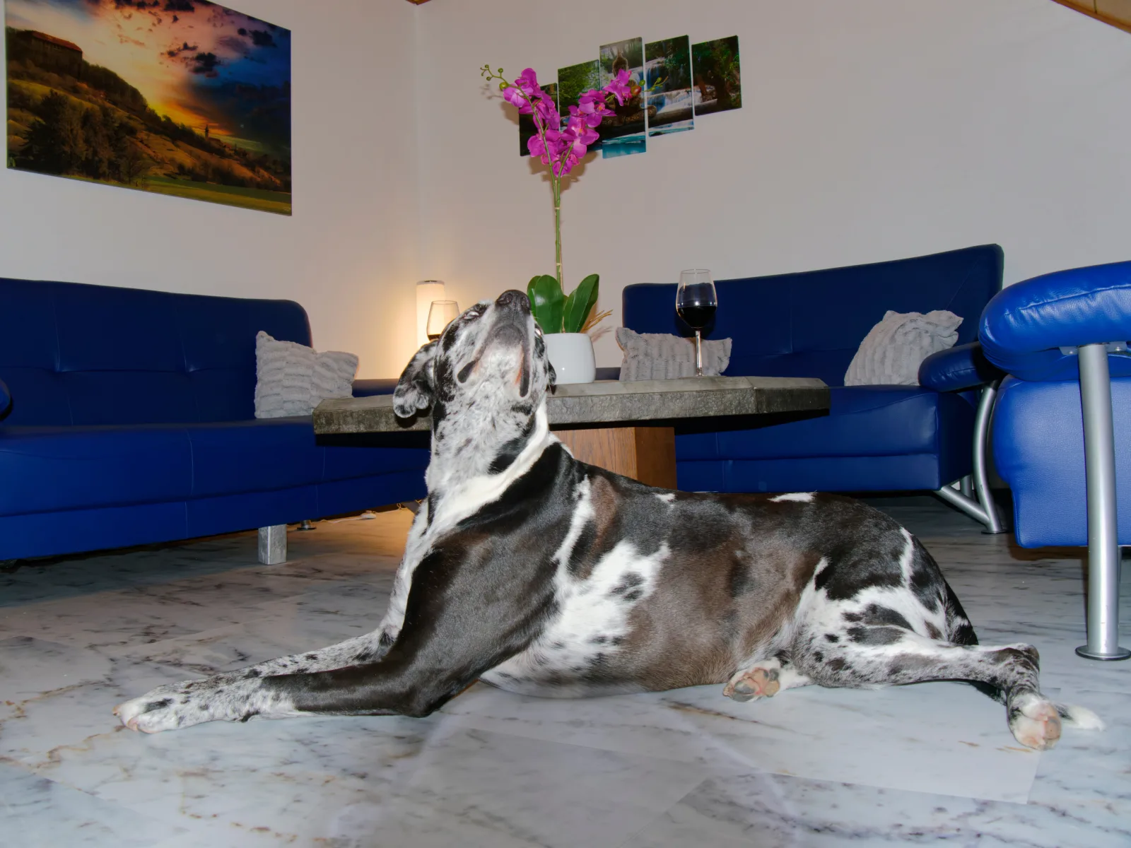Ferienwohnung Schlossblick Schillingsfürst