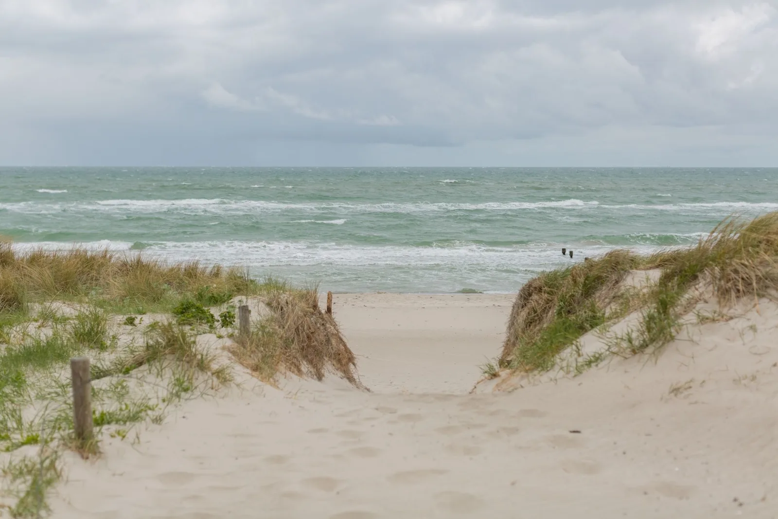 reetgedecktes FH am Deich 2/2