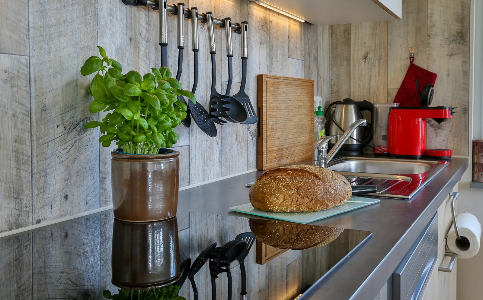 Fewo Silbermöwe Hus Möwenschiet