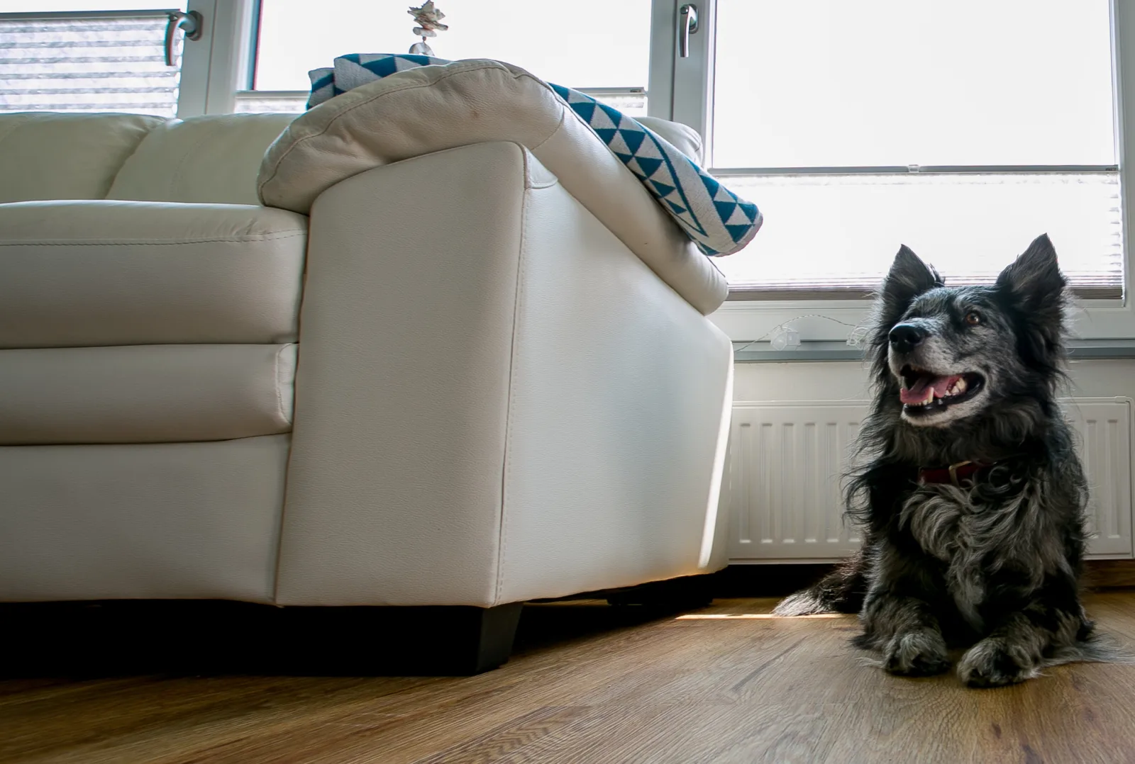 Fewo Silbermöwe Hus Möwenschiet