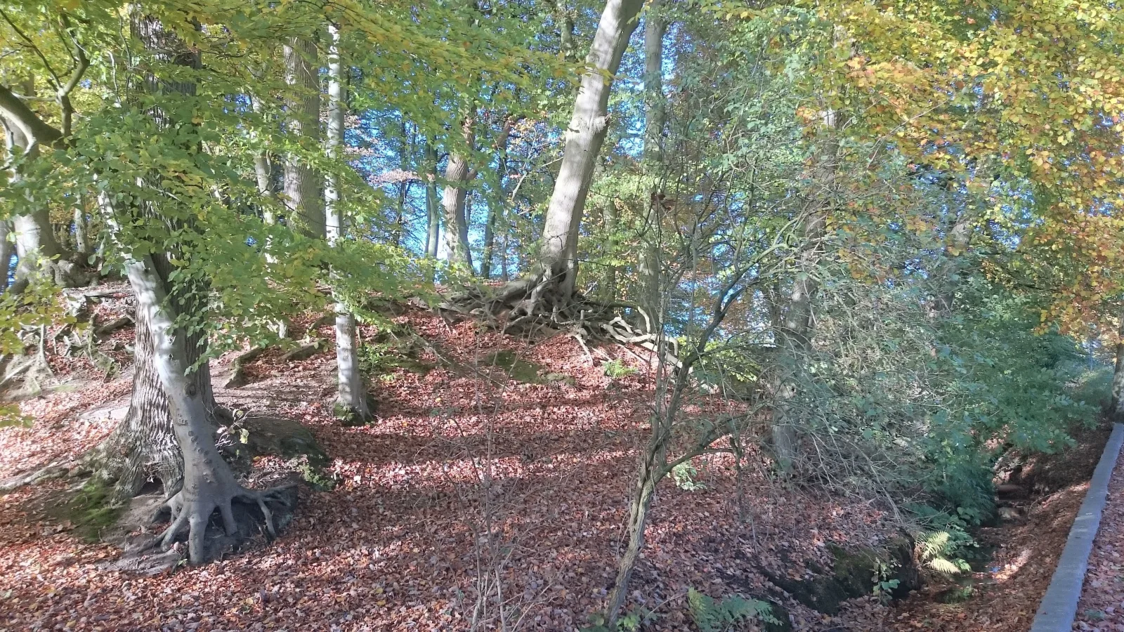 Mobilheim am See