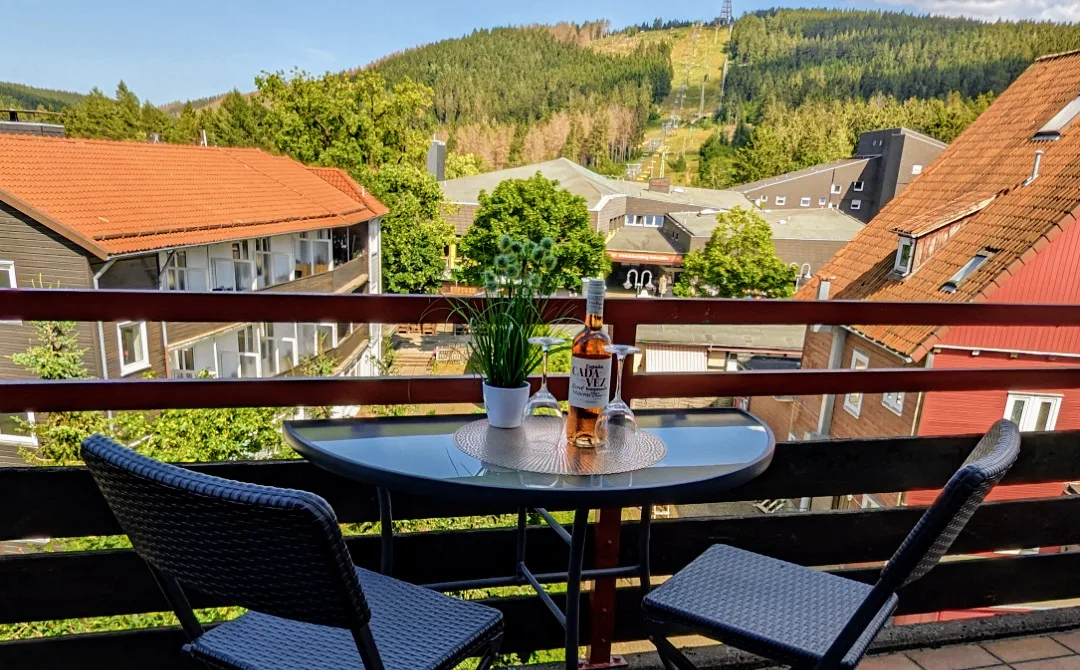 Chill Out Apartment Bergblick